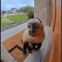 gettymi