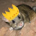 relentlessratking