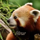piror