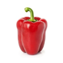 avatar fchristmas 😼