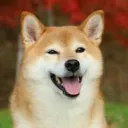 funochec