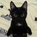 gxyzcjs