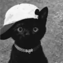 guzi8x