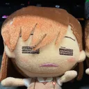 ridoraibu
