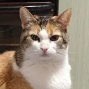 nekitt0