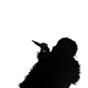 majestic_eagle_77735