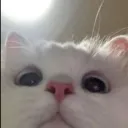 Аватар prosto_debil