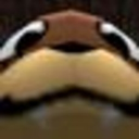 avatar ♡ Your_Average_Bnuy ♡