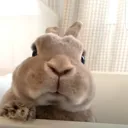 .shxxnx