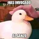 roblesi7826