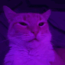 bauix