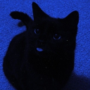 avatar ✧. ┊  Angel-Grace