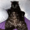 drowzy4345