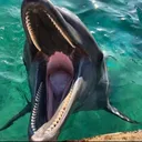 seapig0916