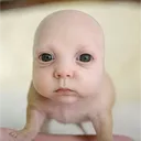 4eyanebot