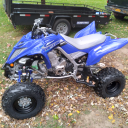 gavisaur#8167's avatar