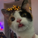 avatar 𝓎𝑒𝓋𝒶