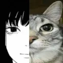 asameowtaka