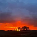 ryder_wx