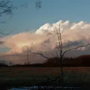 ryder_wx