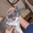 Discord Avatar