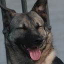 avatar Zac - ザック