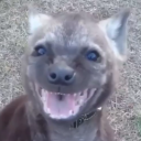 avatar Zac - ザック