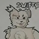 swift_404