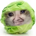abobusandurmom