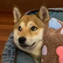 nggg_