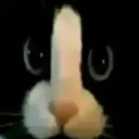 erinoxx_