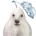 avatar Notifen