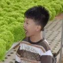 hermanc