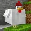 birdboy77
