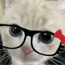 yuripanda_