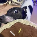 did_someone_say_carbs