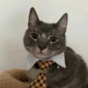 avatar Дед Западло