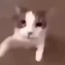 somerug