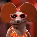 recyroni