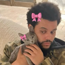 avatar 𝙢𝙞𝙡𝙚𝙣𝙖𝙖