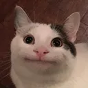 kuruu0