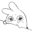 himebunnii