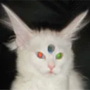 h4nger