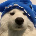 frednotagain