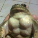 despicable._.#6579's avatar