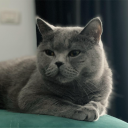 avatar AbductedbyAliens