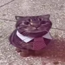 awof