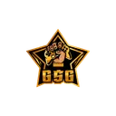 gamestarrgroup
