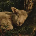 .mossylamb
