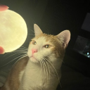 avatar leche tropical